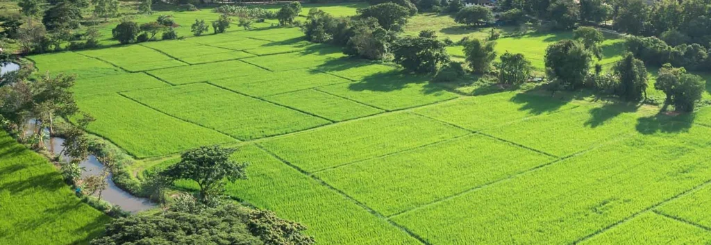 Strategic Land and Business Property Valuation for Confident Decisions